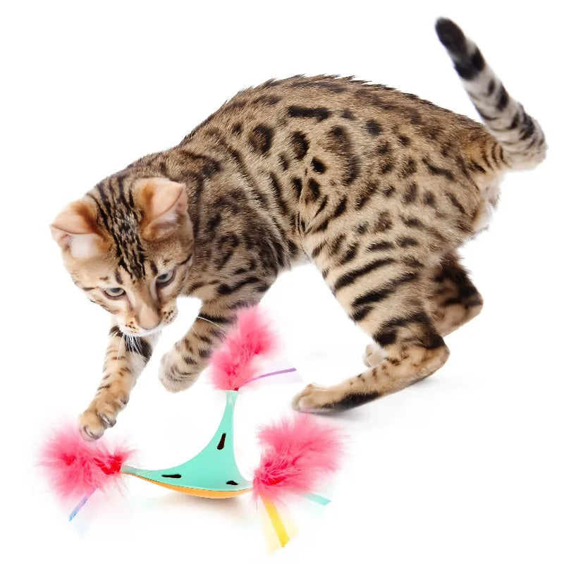 Interactive Cat Toy for Exercise & Stimulation, Medium, Blue