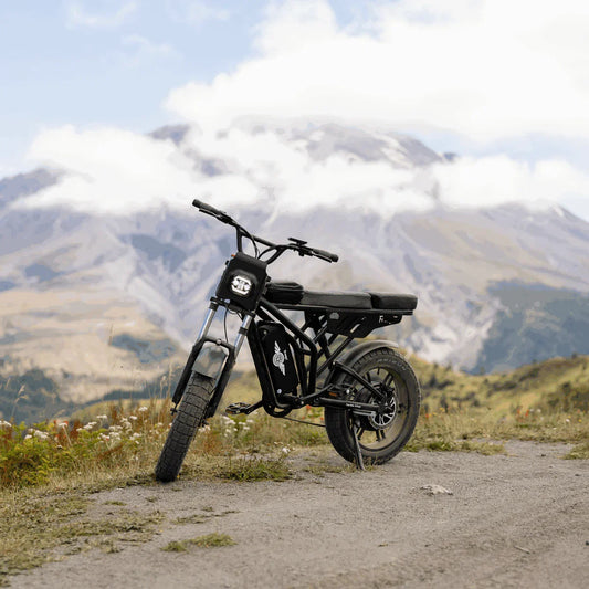 Freego F2 Pro Max Electric Bike 2000W 60V 18Ah Battery