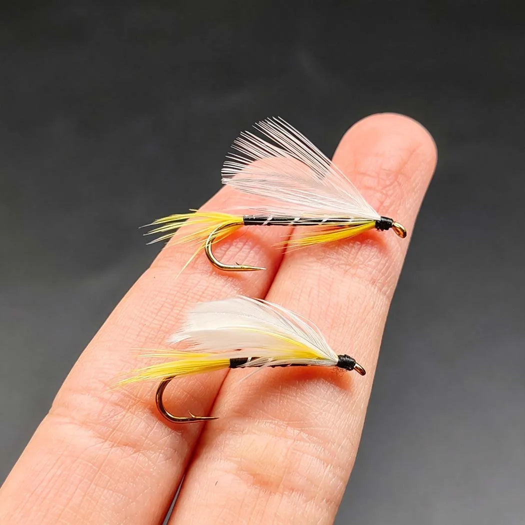 Fly Fishing Flies Kit, 2 Boxes Bundle(Total 50Pcs Flies) Dry Flies, Wet Flies, Nymphs Fishing For Trout-with Fly Box