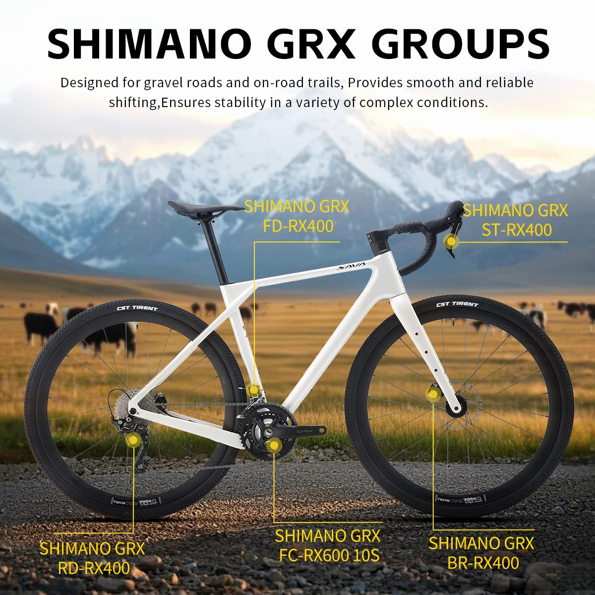 SAVA R21 Gelaro Gravel Bike With GRX 11 Speed Gearset